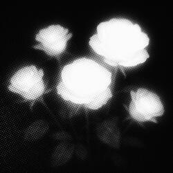 lonely (Super Slowed)