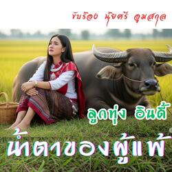 น้ำตาของผู้แพ้ (ลูกทุ่ง อินดี้)