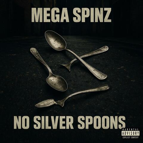 No Silver Spoons