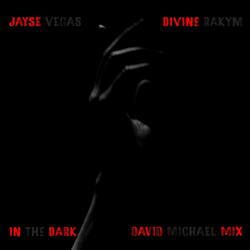 In The Dark (David Michael Mix) (feat. Divine Rakym) (Extended Mix)