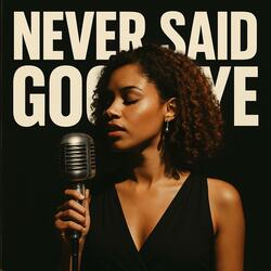 Never Said Goodbye