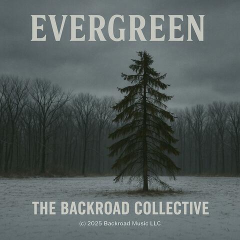 Evergreen