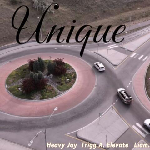 Unique (feat. Liam. & Trigg A. Elevate)