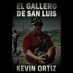 El Gallero De San Luis