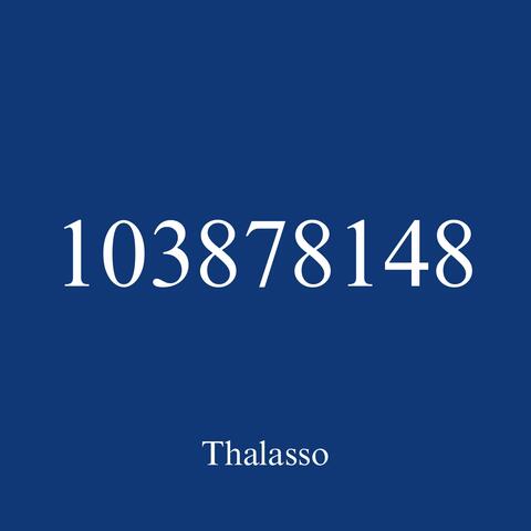 103878148