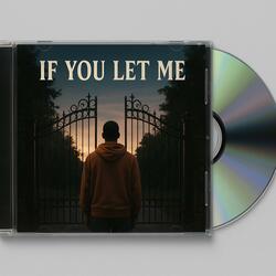 If You Let Me