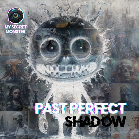 Past Perfect: Shadow