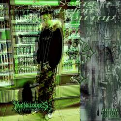 toronto (slowed and reverb) (feat. querphantine)