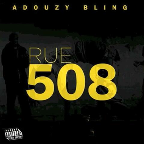 Rue 508