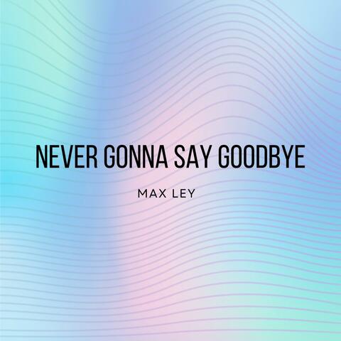 Never Gonna Say Goodbye