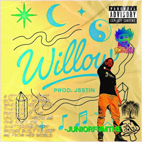 Willow