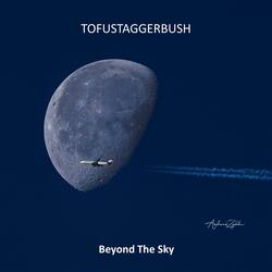 Landing On Icefields