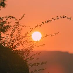 Sunshine