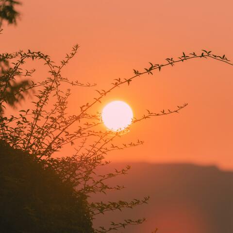 Sunshine