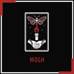 Moth