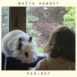 White Rabbit