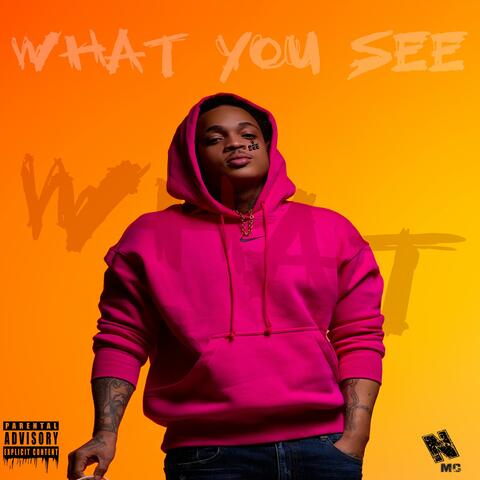WHAT YOU SEE