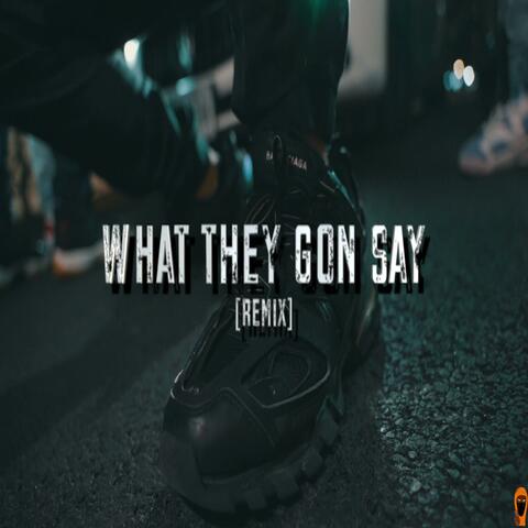 What They Gon Say (feat. Sonic & Pop villainare) [Remix]