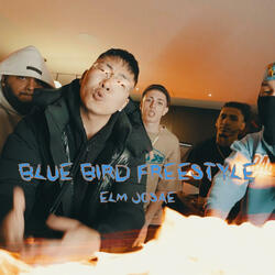 Blue Bird Freestyle