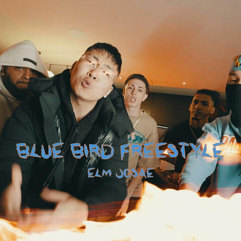 Blue Bird Freestyle