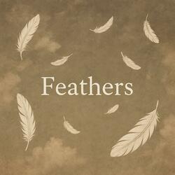 Feathers