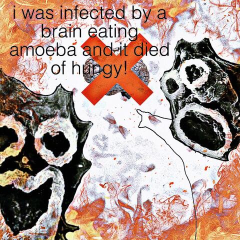 i was infected by a brain eating amoeba and it died of hungy!