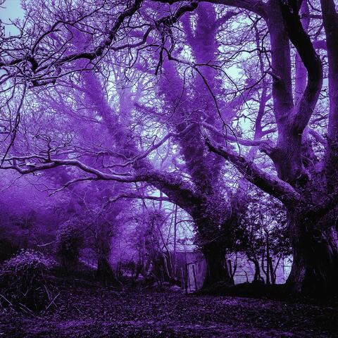 important things (slowed and reverb)