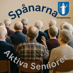 “Spånarna” - Aktiva seniorer Kungsbacka REMIX