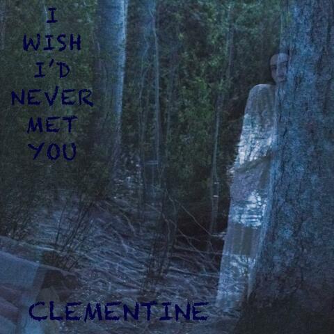 I WISH I'D NEVER MET YOU