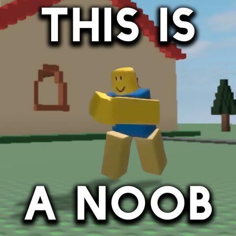 This Is A Noob