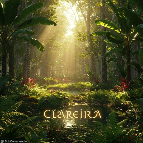 Clareira