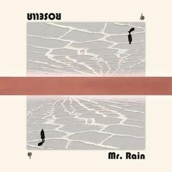 Mr. Rain