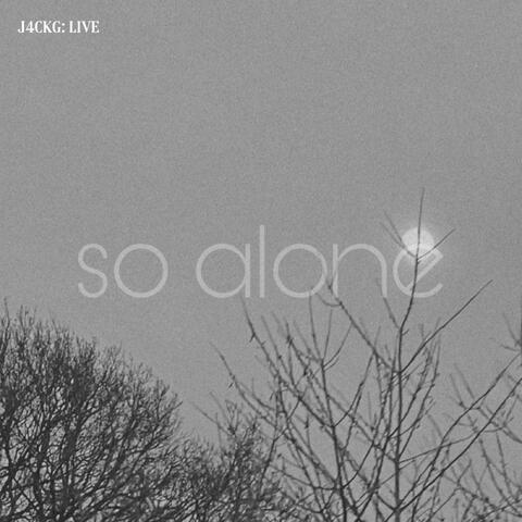SO ALONE (Live)