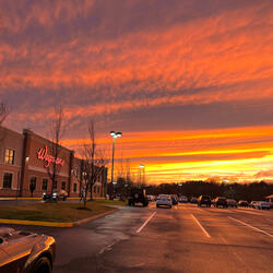 Golden Skies