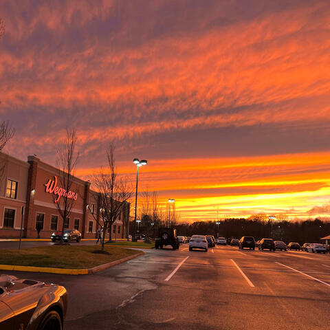 Golden Skies