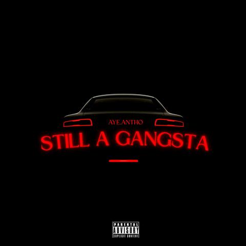 Still a Gangsta