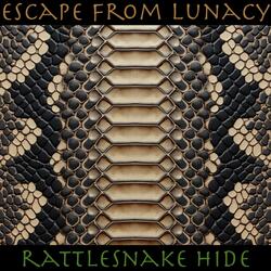 Rattlesnake Hide