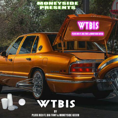 WTBIS by Playa Red