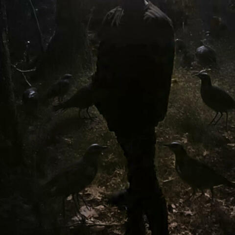 Cant turn a hotel to a home