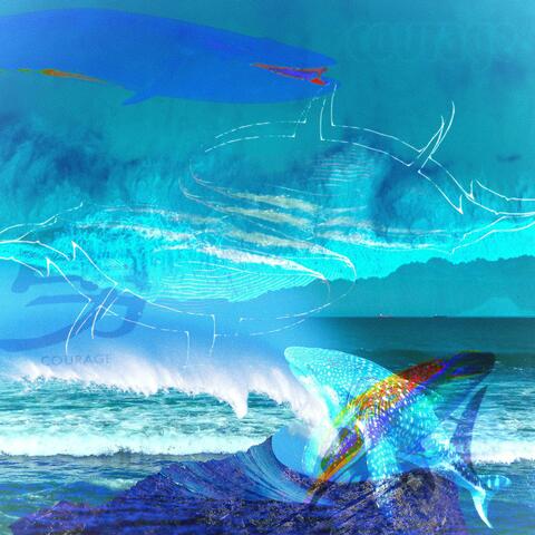 Whale