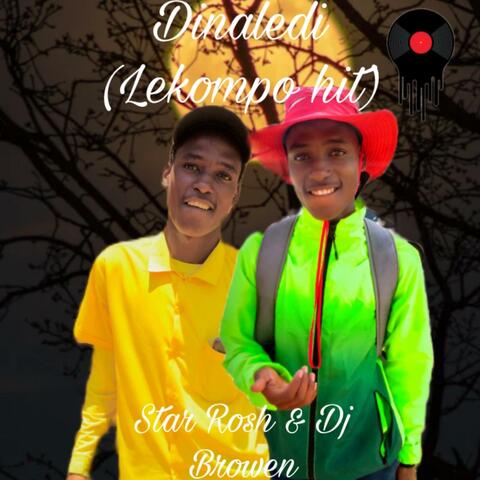 Dinaledi (Lekompo Hit) (feat. Dj Browen & Bok Record)