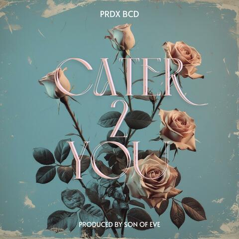 Cater 2 You