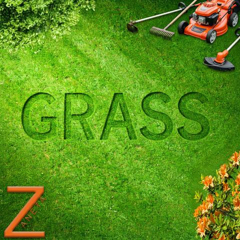 Grass