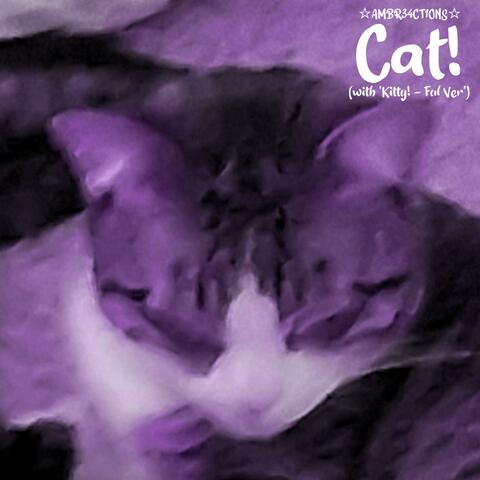 Kitty Cat!