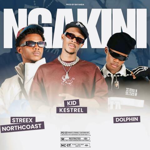 NGAKINI (feat. Streex Northcoast & Dolphin no Ntshebzin)