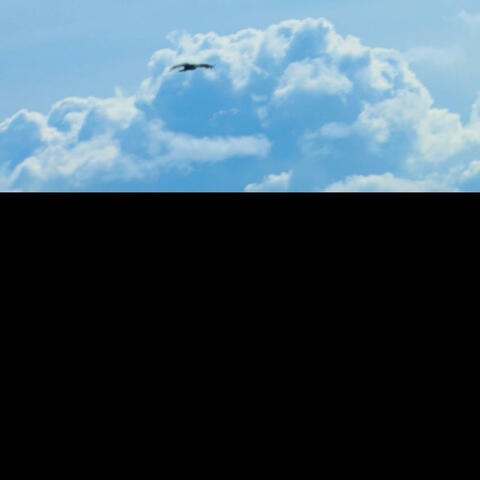 12 BY 8
