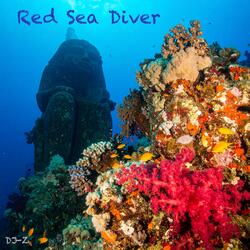 Red Sea Diver
