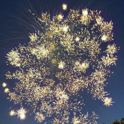 Rolling Up Detective