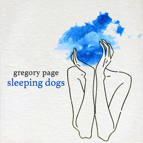 Sleeping Dogs