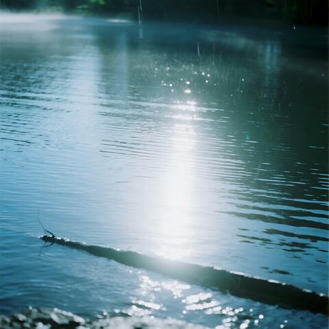 Morning Glow in Rain